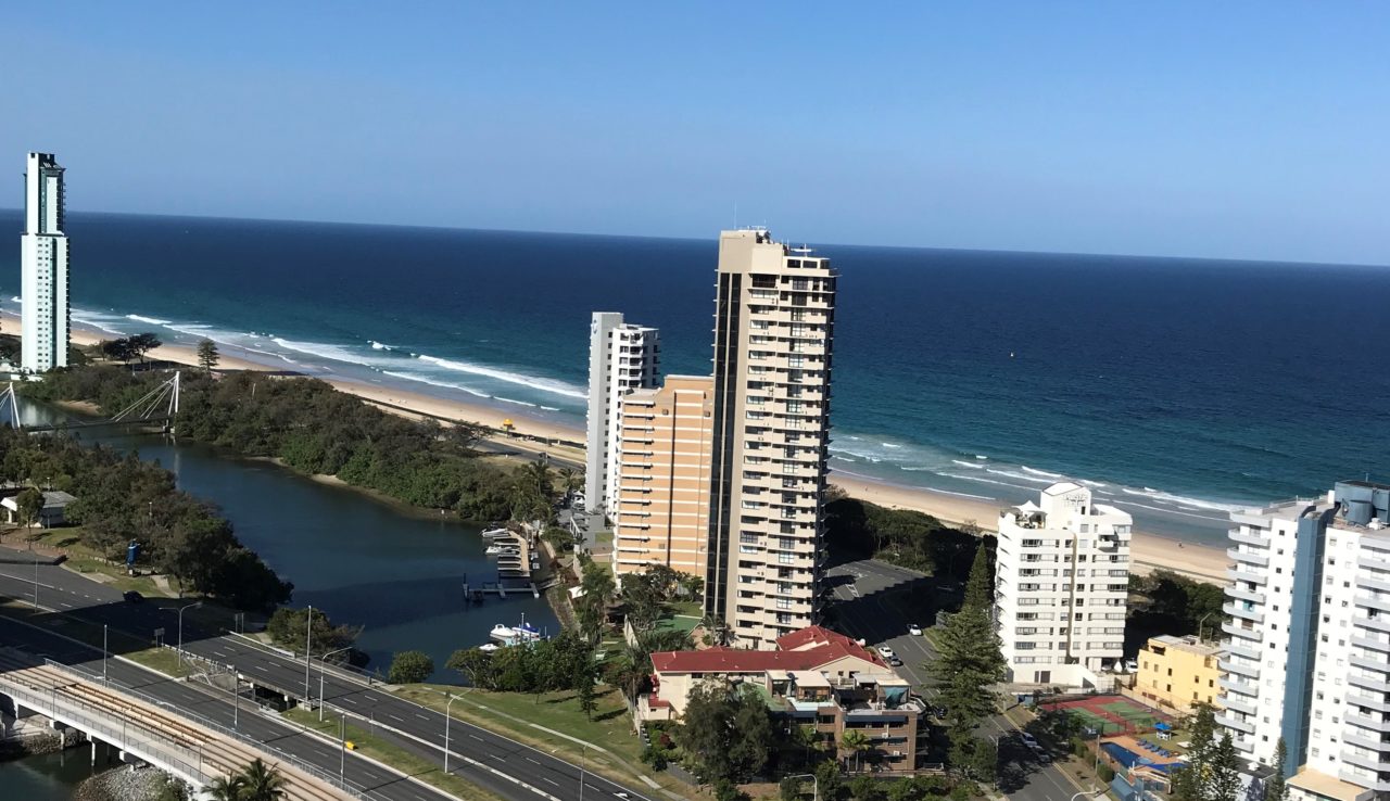 にゃんこと日々のくらし